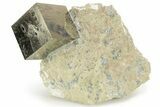 Natural Pyrite Cube In Rock - Navajun, Spain #227615-1